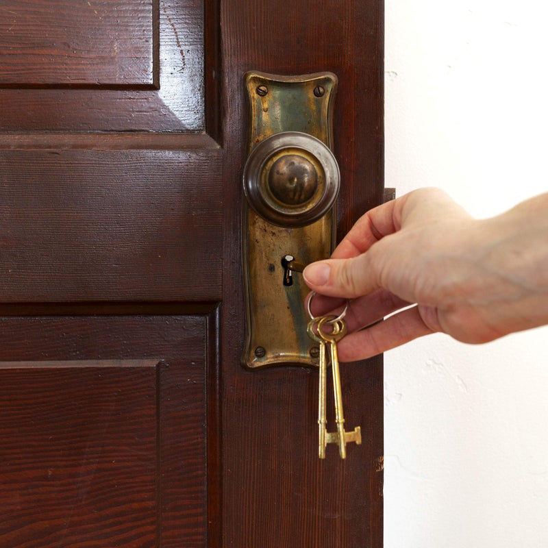 Lucky Line Skeleton Key, 10 Pack Flat Tip - Image 2